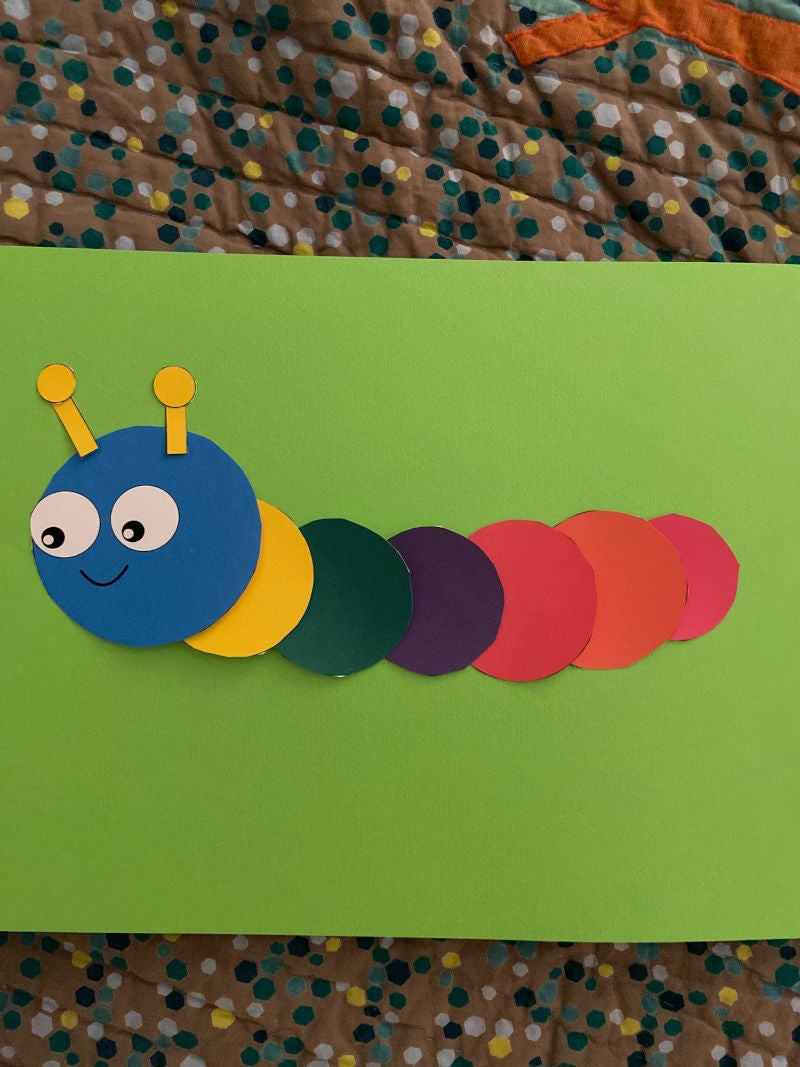 The Colorful Caterpillar