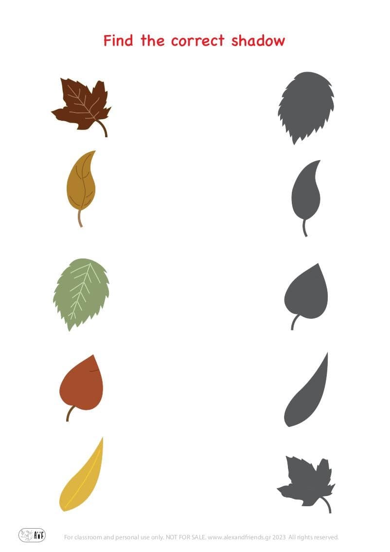 Matching exercise for kids. Educational material. Free printable. Leaves.