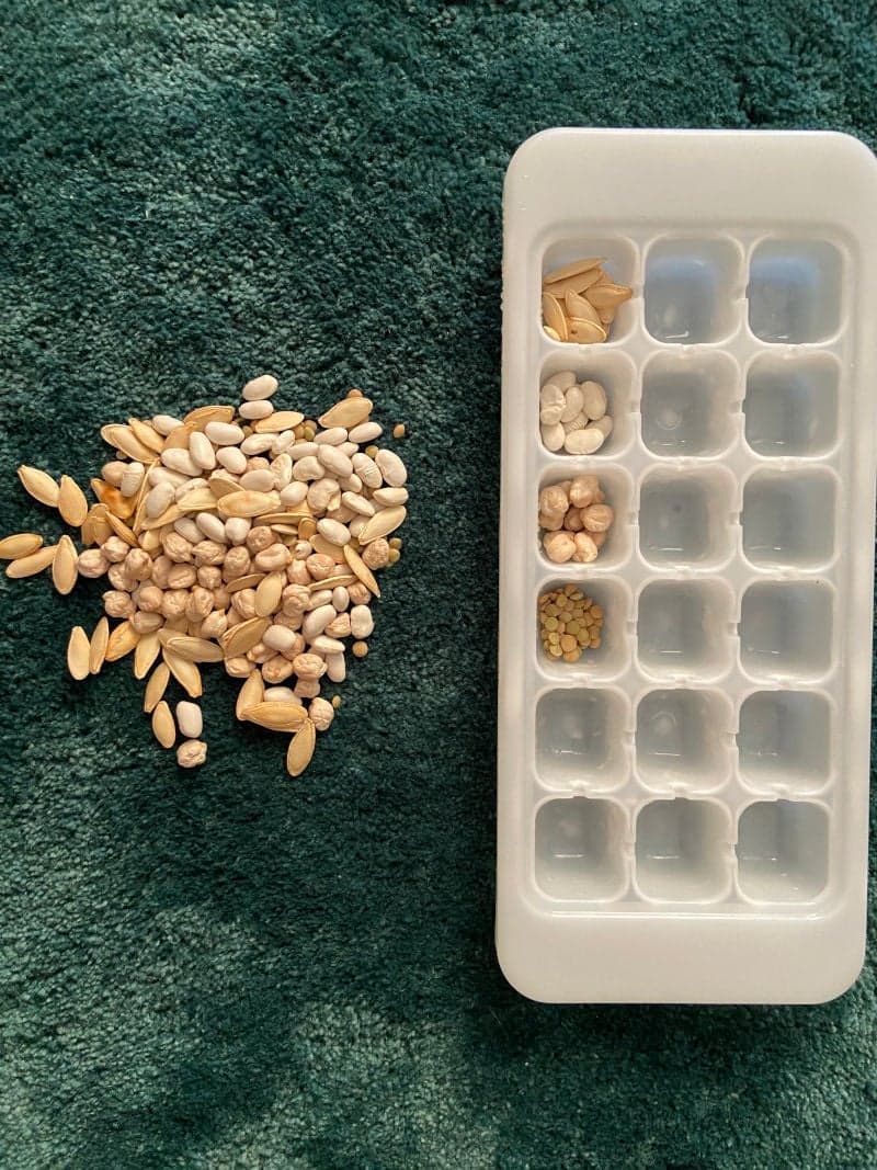 Educational play for little kids preschoolers. Educational game. Short and pattern-making. Ice cube container. Seeds. Dried beens. 