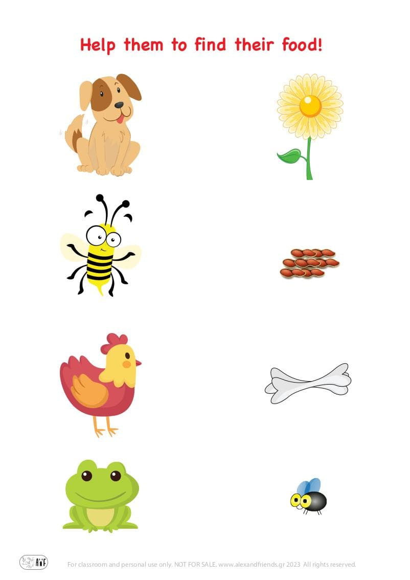 Matching exercise for kids. Educational material. Free printable. Dog, bee, chicken, frog, bones, flower, seeds, fly.