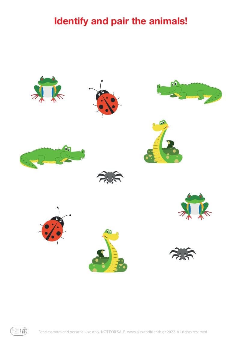Matching pairs educational game for preschool kids