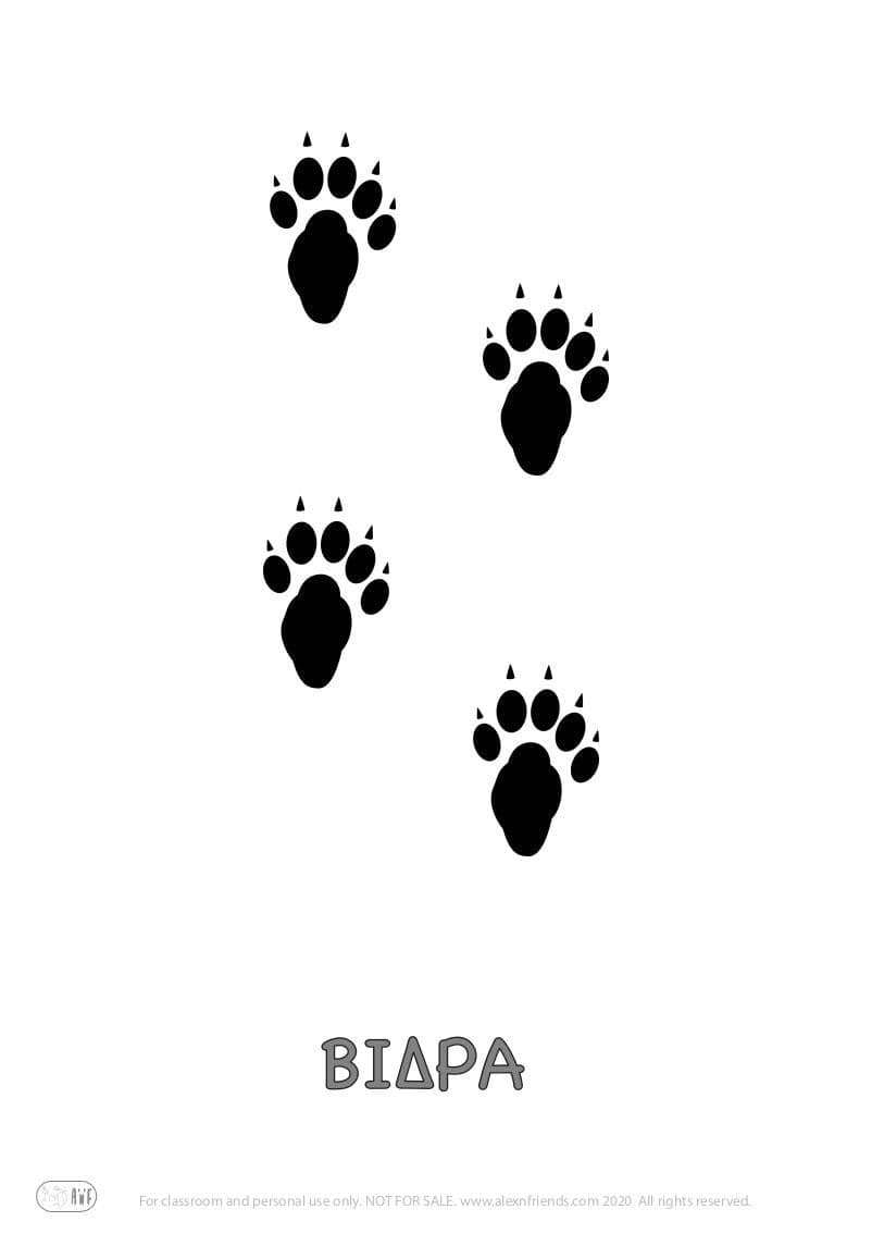 Εκπαιδευτική δραστηριότητα για παιδιά προσχολικής ηλικίας με δωρεάν εκτυπώσιμο υλικό. Παιχνίδι με ίχνη ζώων. Η βίδρα.