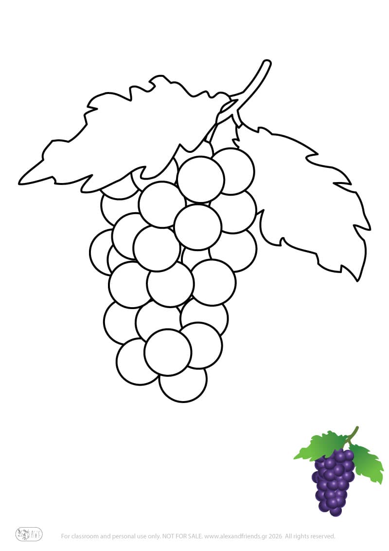 Learning activity for kids. Free printable coloring page of grapes