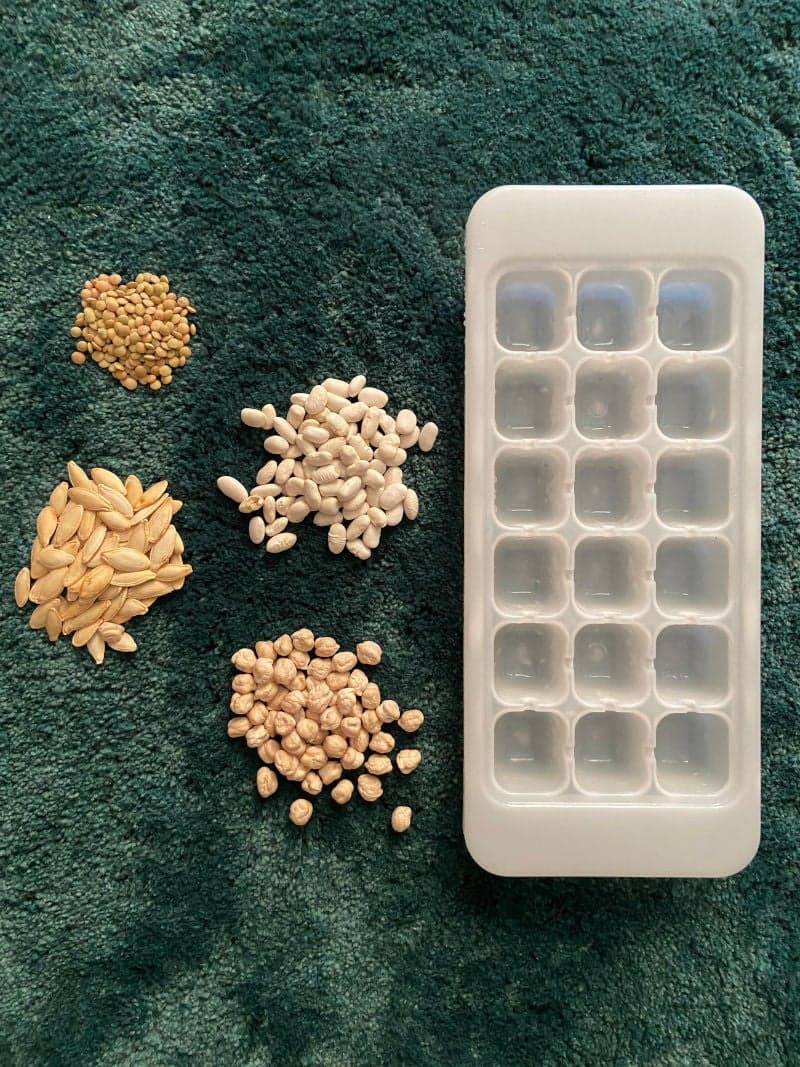 Educational play for little kids preschoolers. Educational game. Short and pattern-making. Ice cube container. Seeds. Dried beens. 