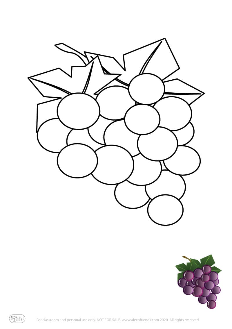 Learning activity for kids. Free printable coloring page of a grapes