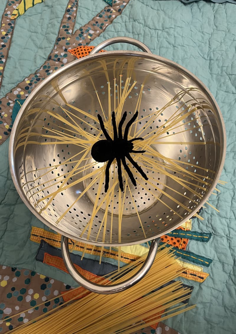 Little Spider’s Web!