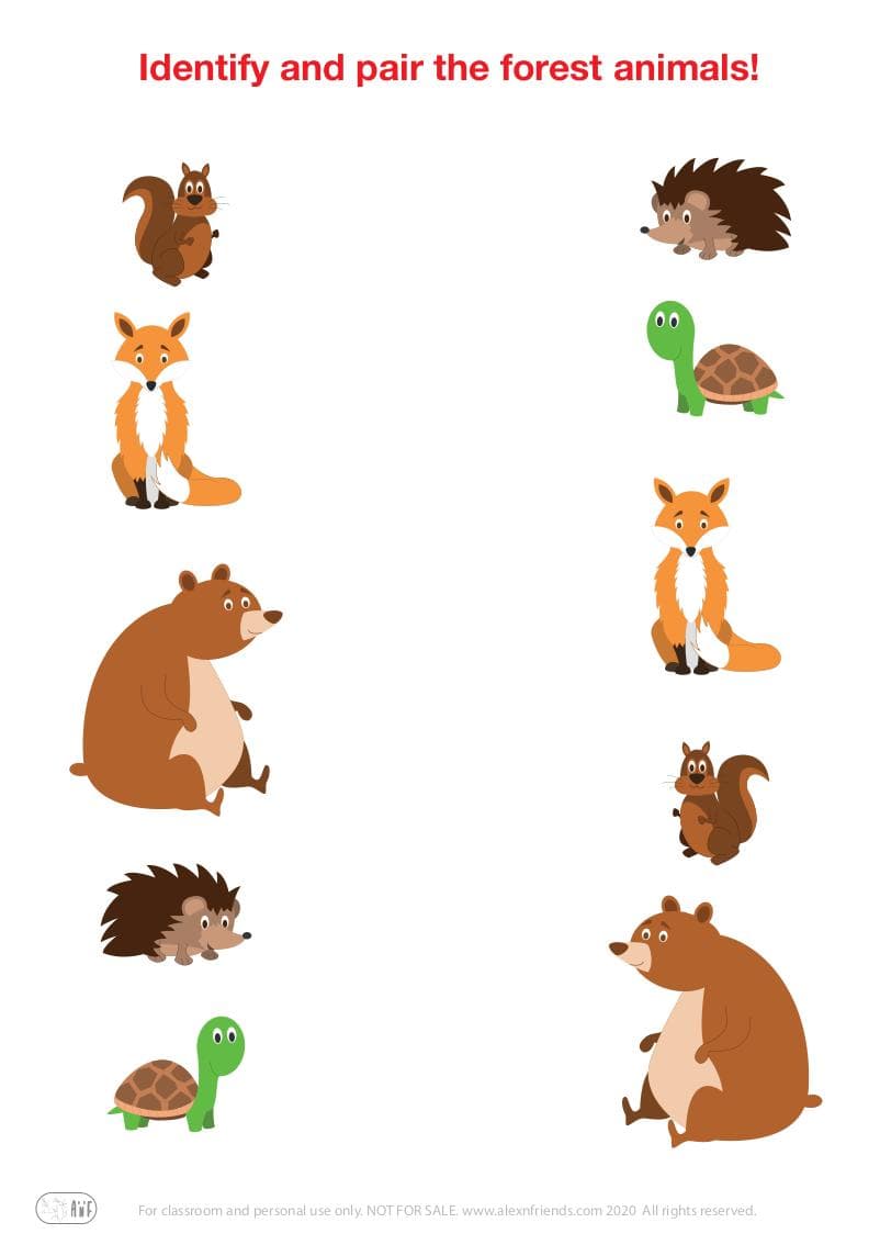 Matching pairs educational game for preschool kids