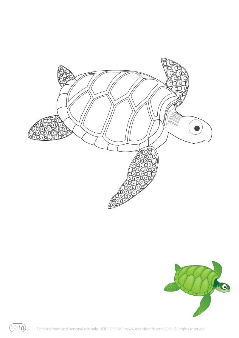 Learning activity for kids. Free printable coloring page of a turtle
