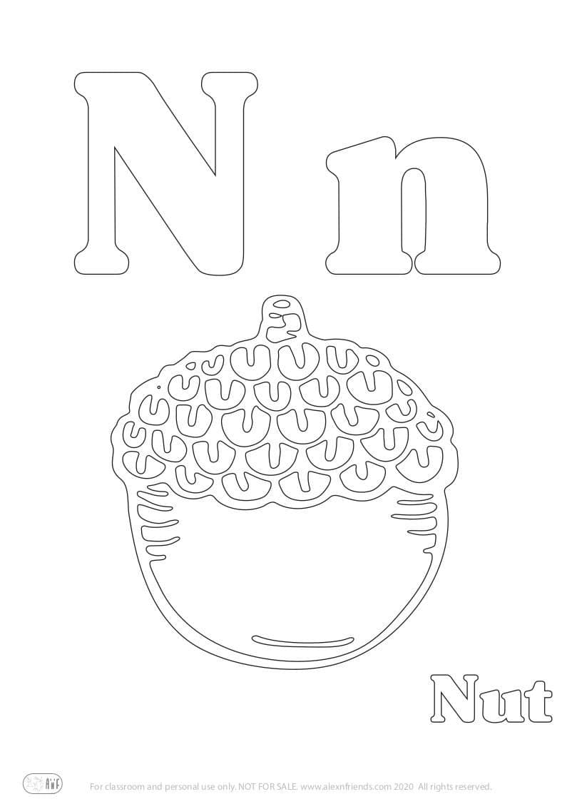 Learning english alphabet for kids. Free printable coloring page with letter N n and a nut