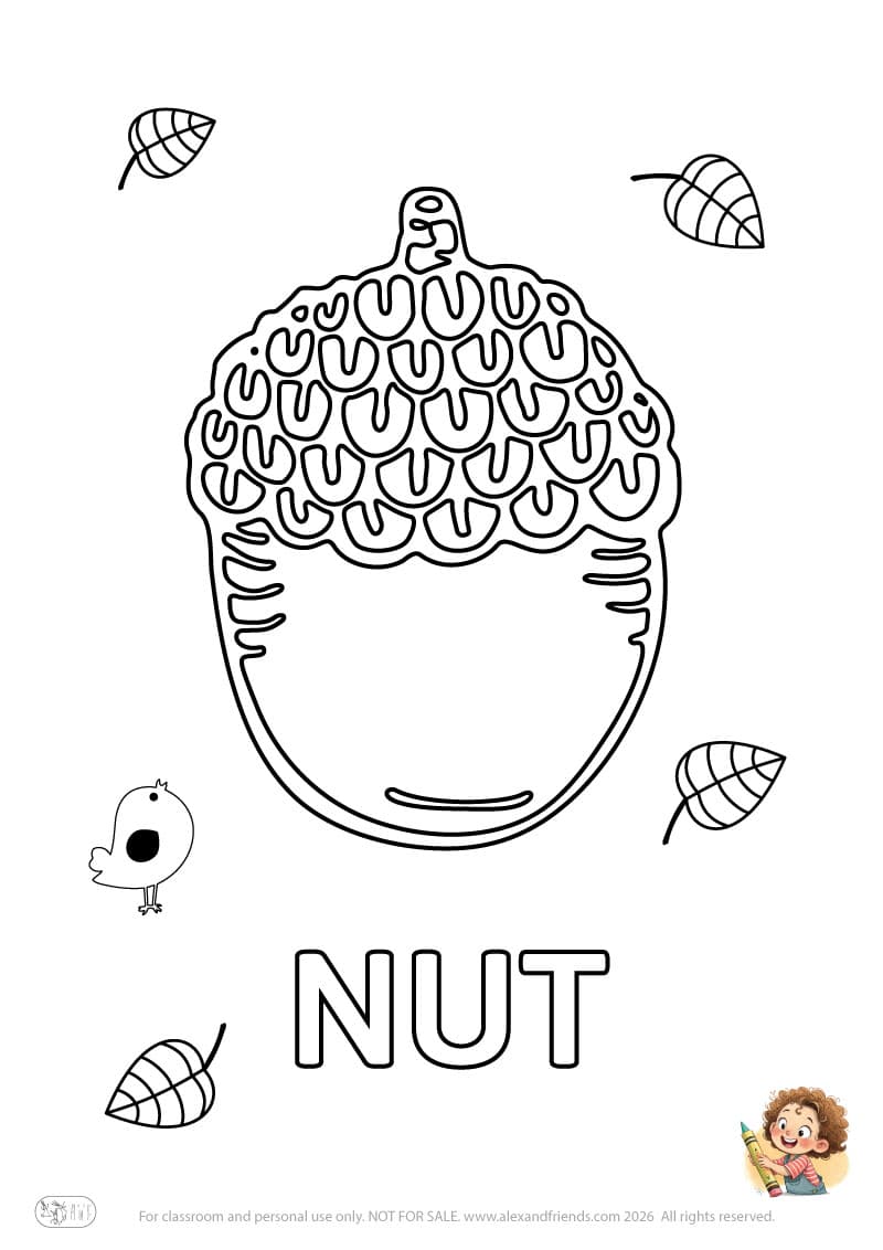 Letter N - NUT. Printable English alphabet coloring pages for children learning letters