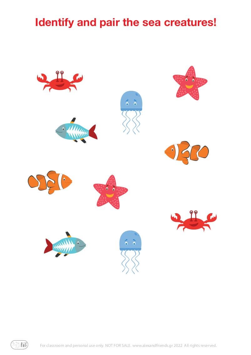 Matching pairs educational game for preschool kids