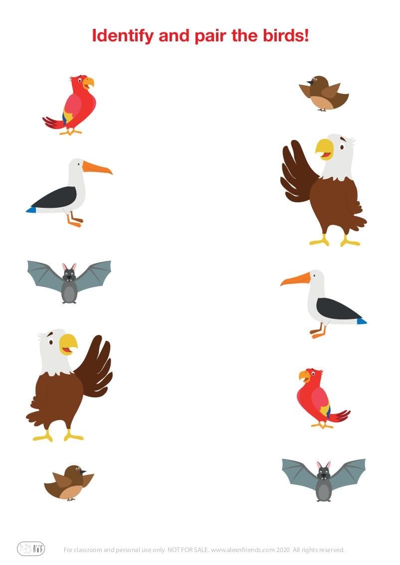 Matching pairs educational game for preschool kids