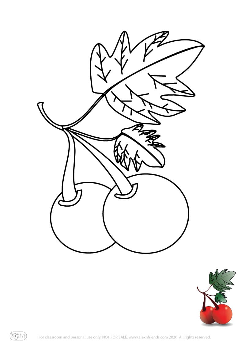 Learning activity for kids. Free printable coloring page of cherries