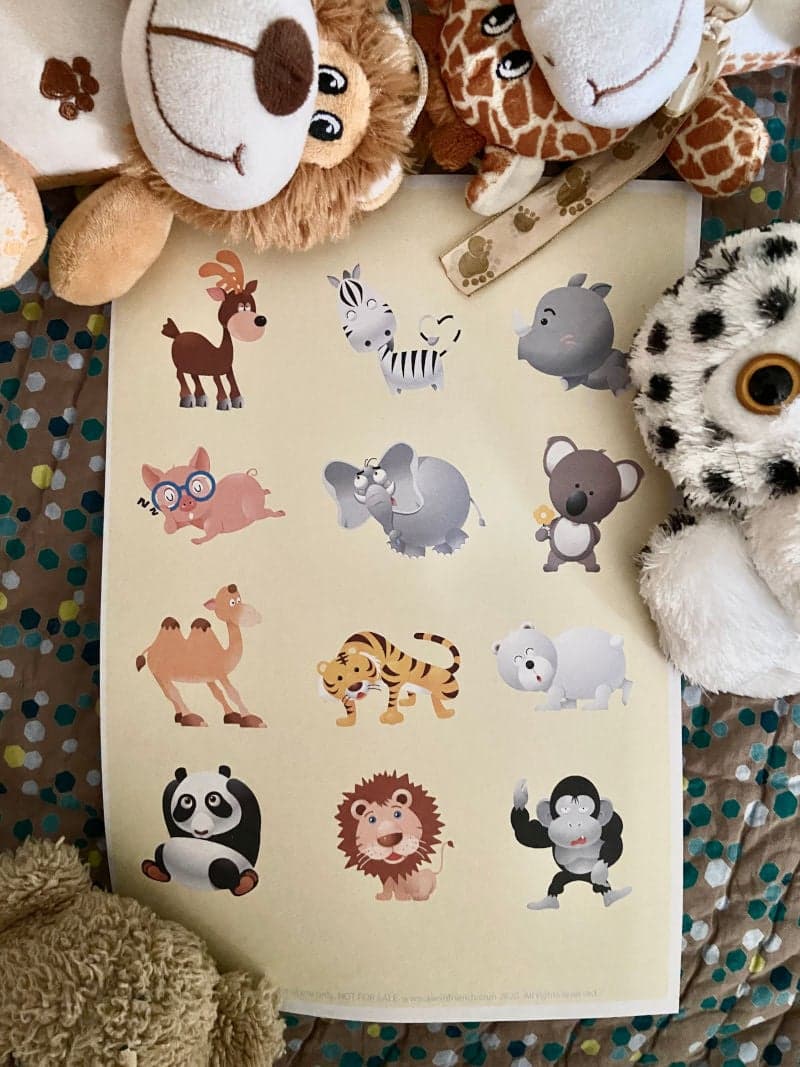 Identify the Animals