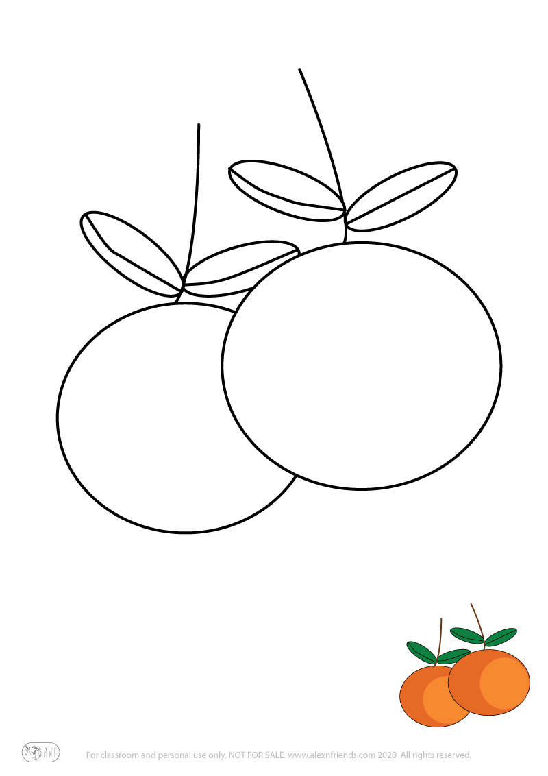 Learning activity for kids. Free printable coloring page of oranges.