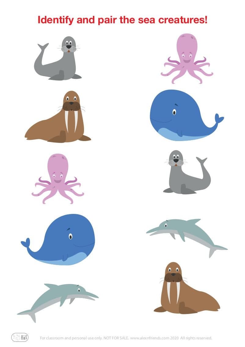 Matching pairs educational game for preschool kids