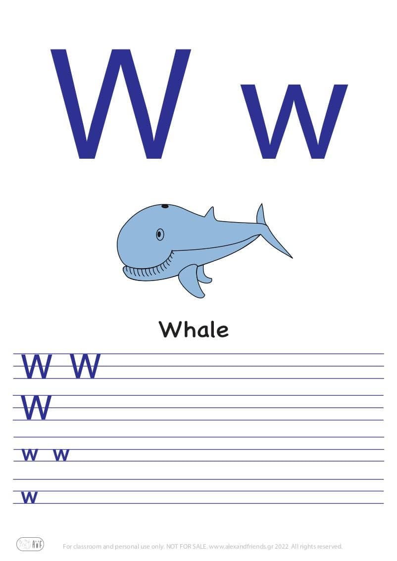English alphabet. Free printable writing exercise for the letter W w and a whale.