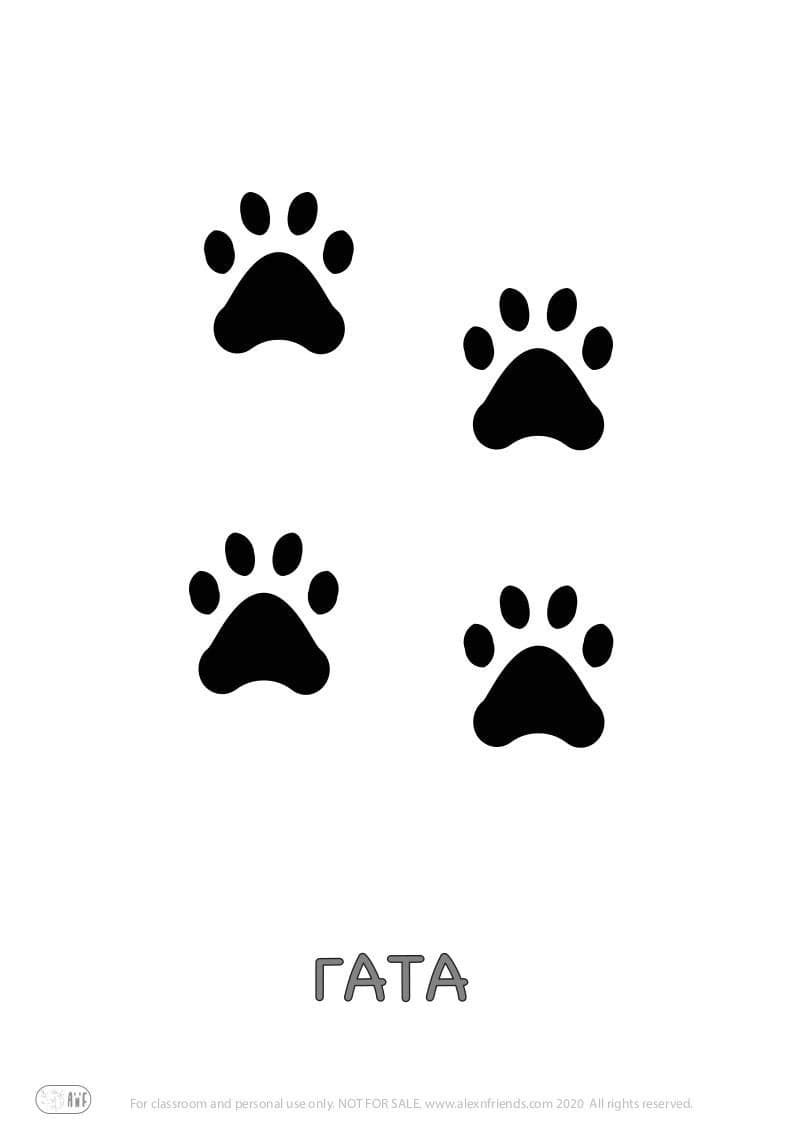 Εκπαιδευτική δραστηριότητα για παιδιά προσχολικής ηλικίας με δωρεάν εκτυπώσιμο υλικό. Παιχνίδι με τα ίχνη ζώων. Η γάτα.