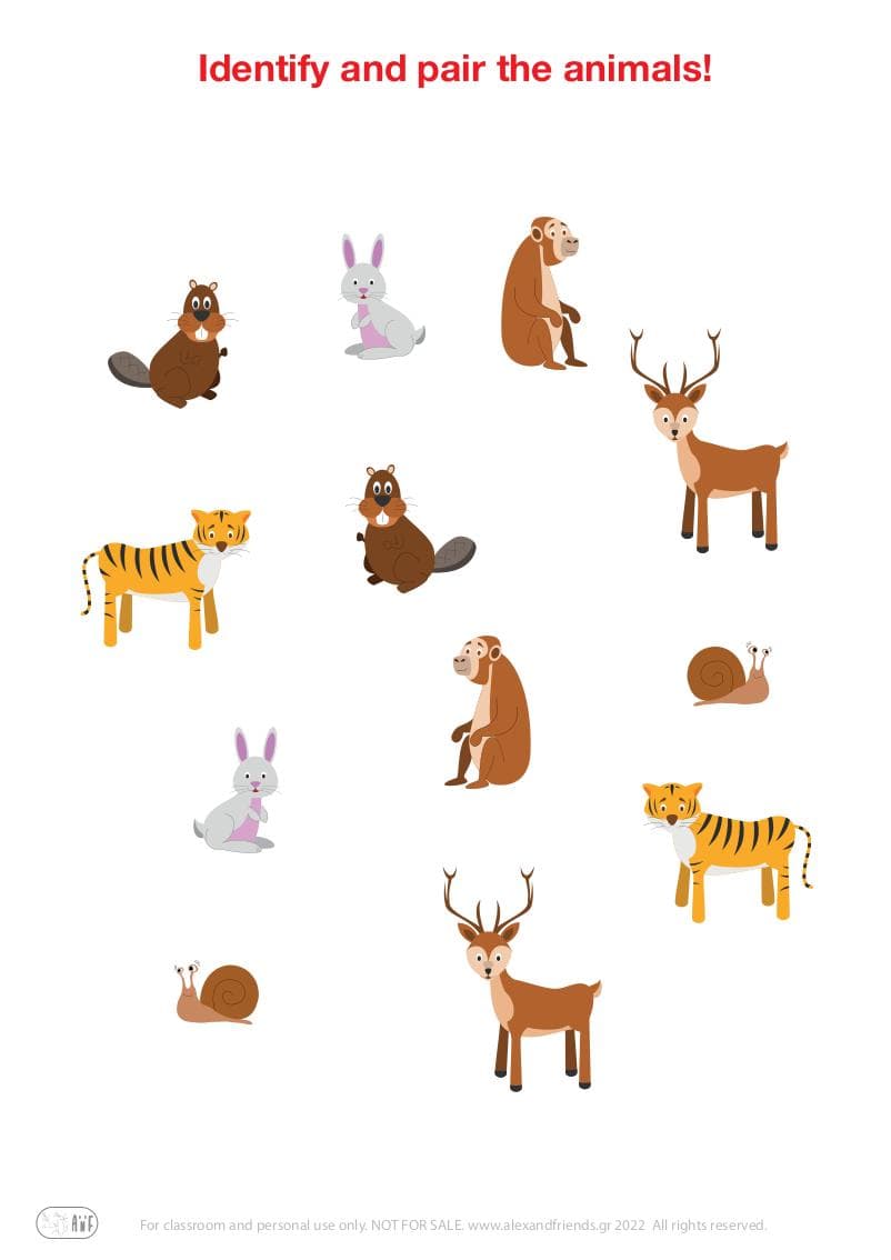 Matching pairs educational game for preschool kids