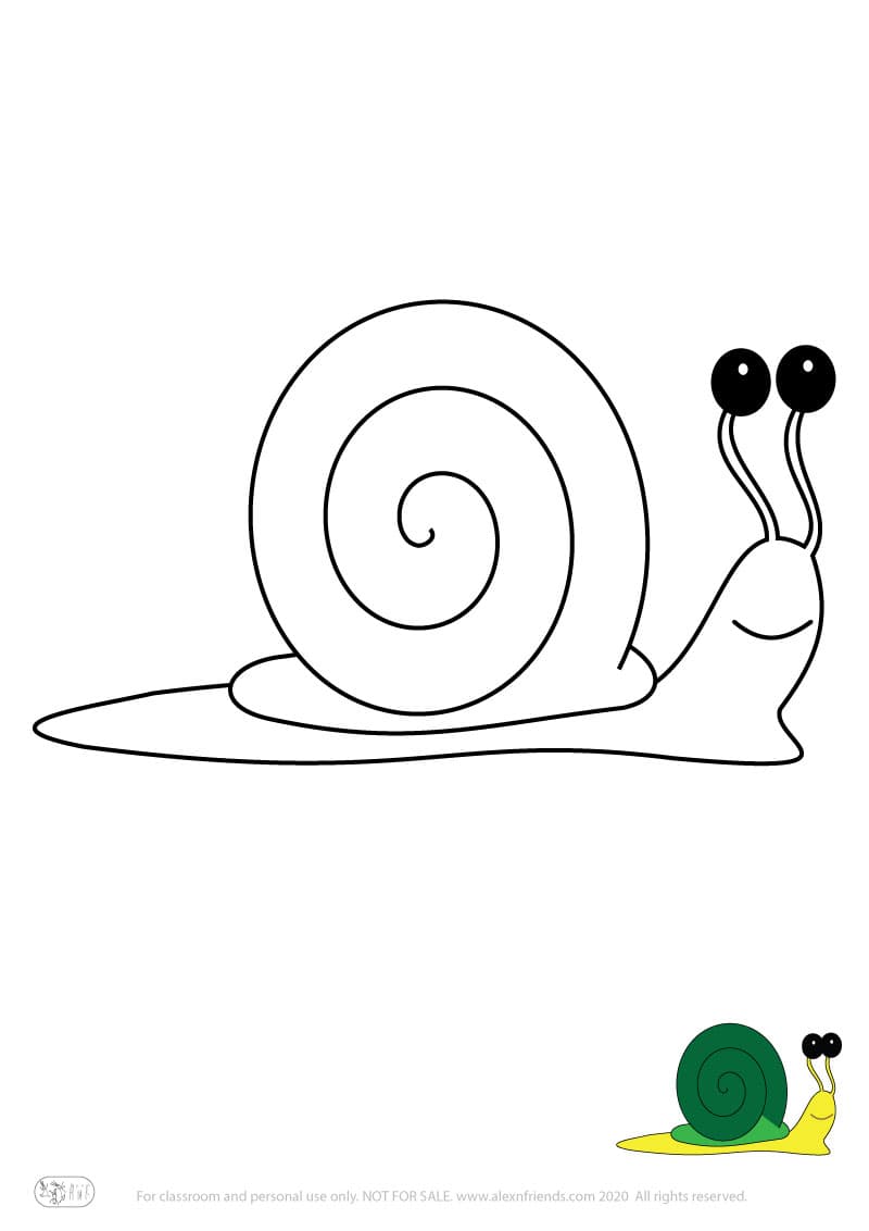Learning activity for kids. Free printable coloring page of a snail