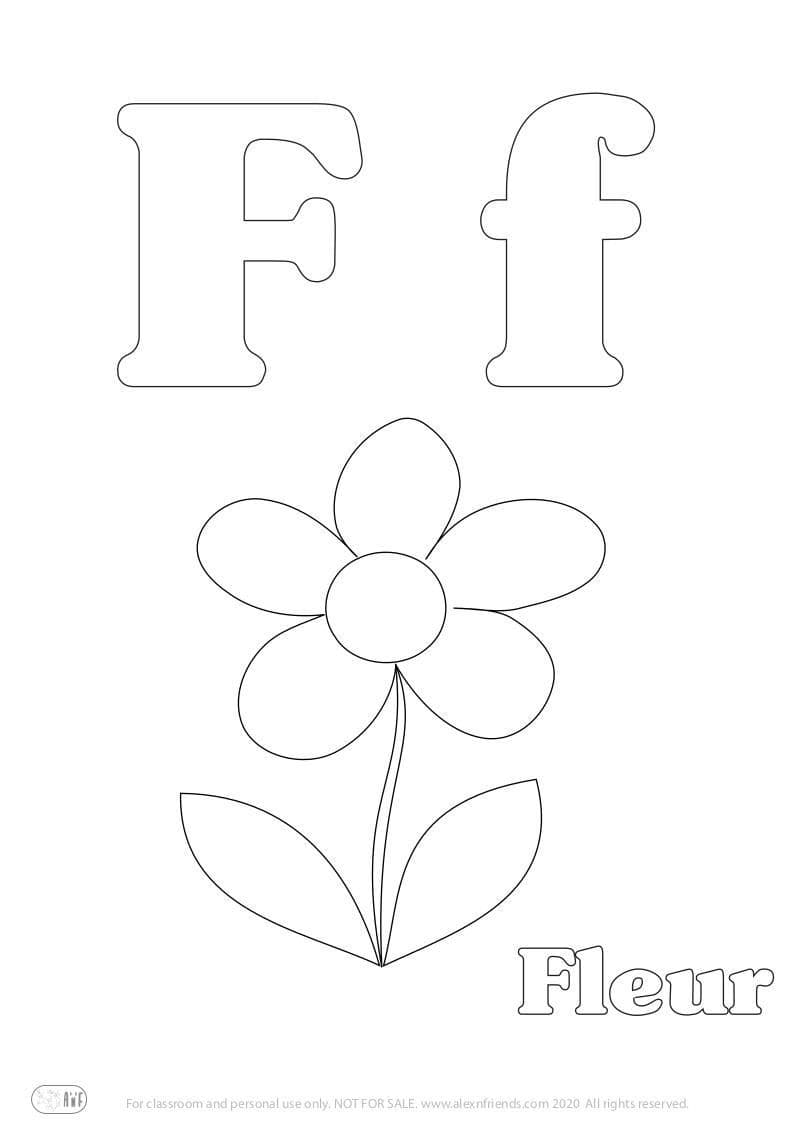 Letter F
