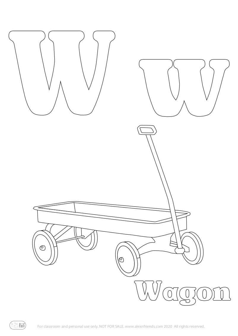 Letter W