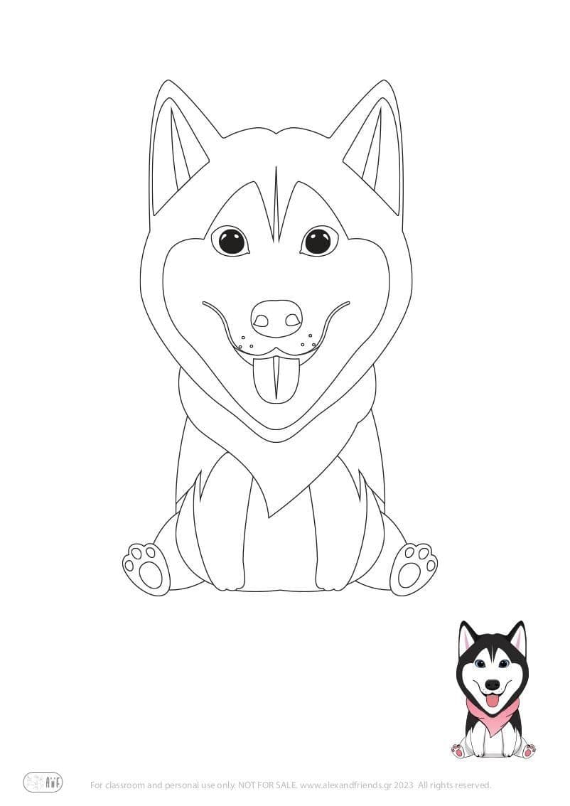 Husky