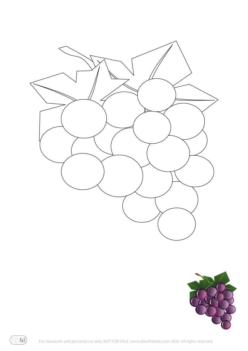 Grapes