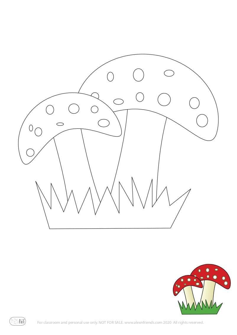 Mushroom 3
