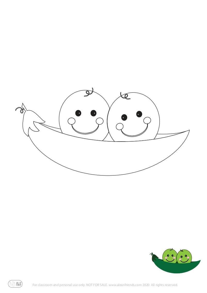 Pea