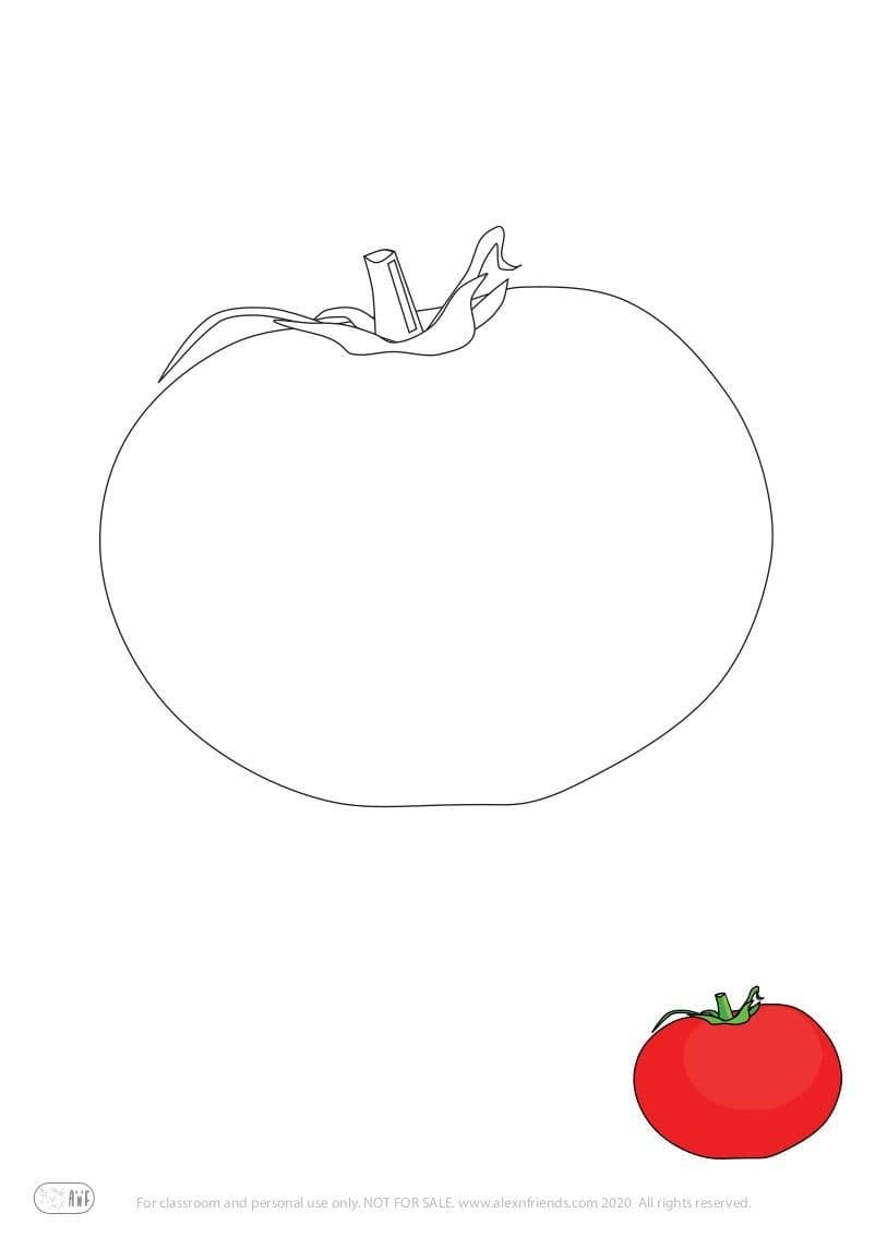 Tomato