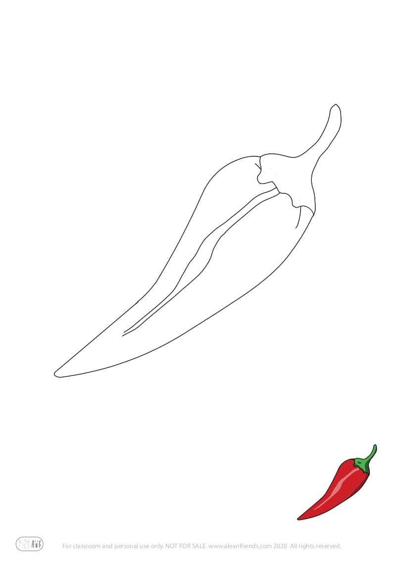 Chili pepper