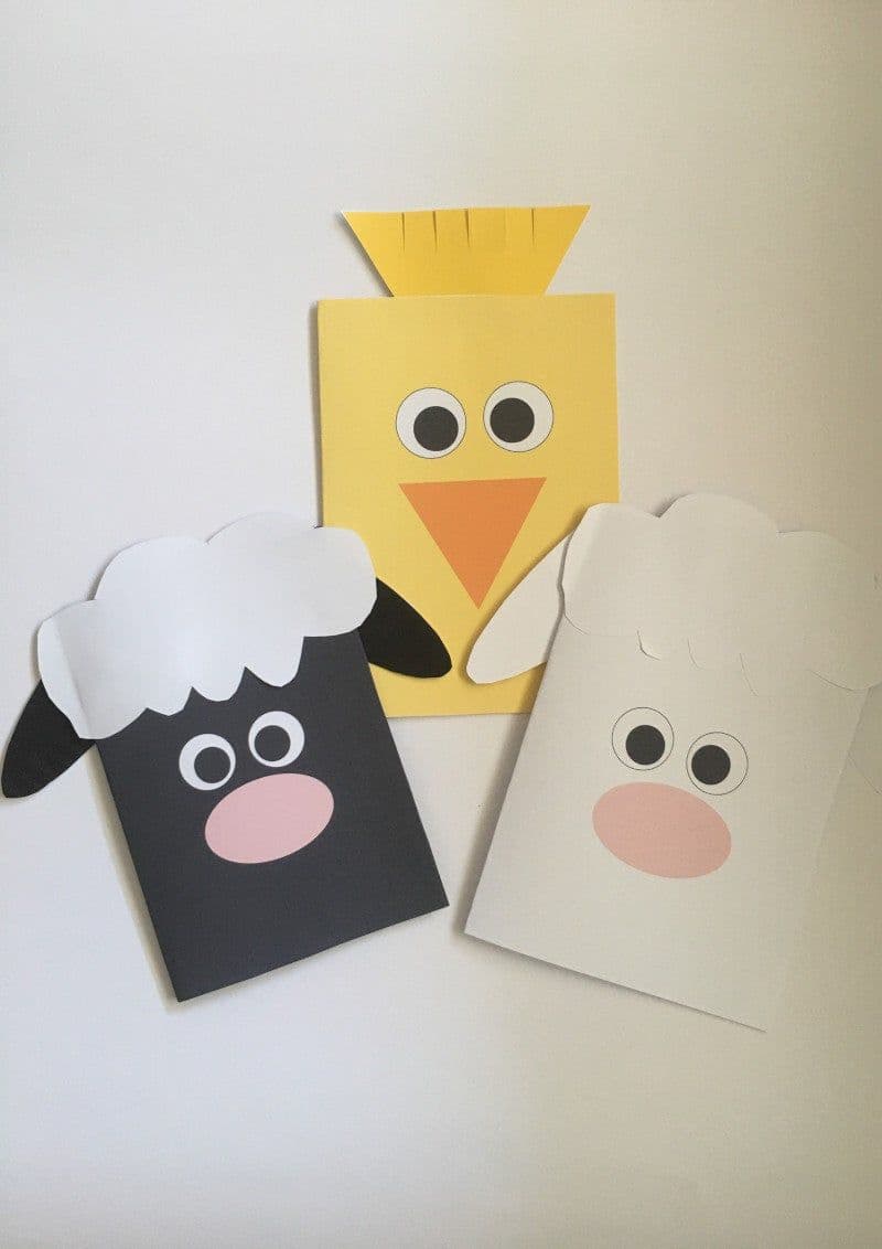 Chick and Sheep