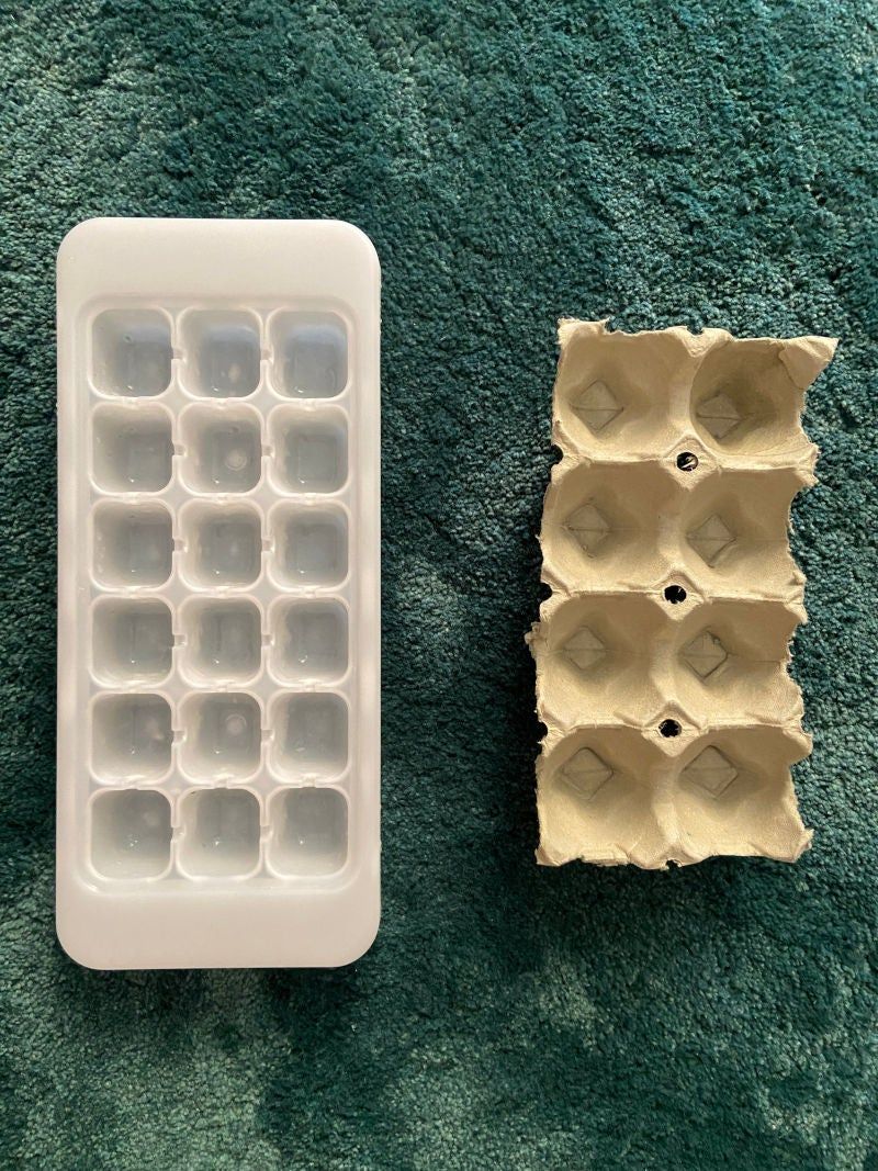 Sorting Game