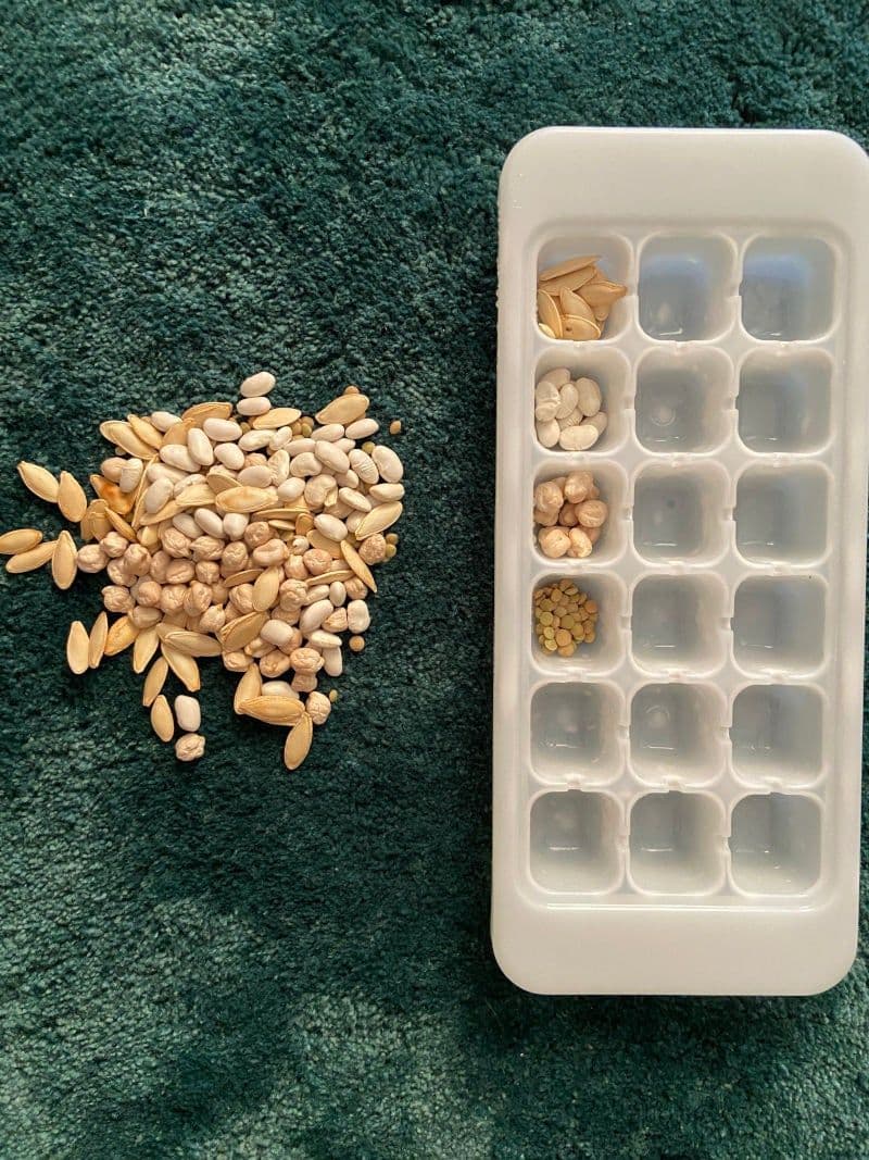 Sorting Game