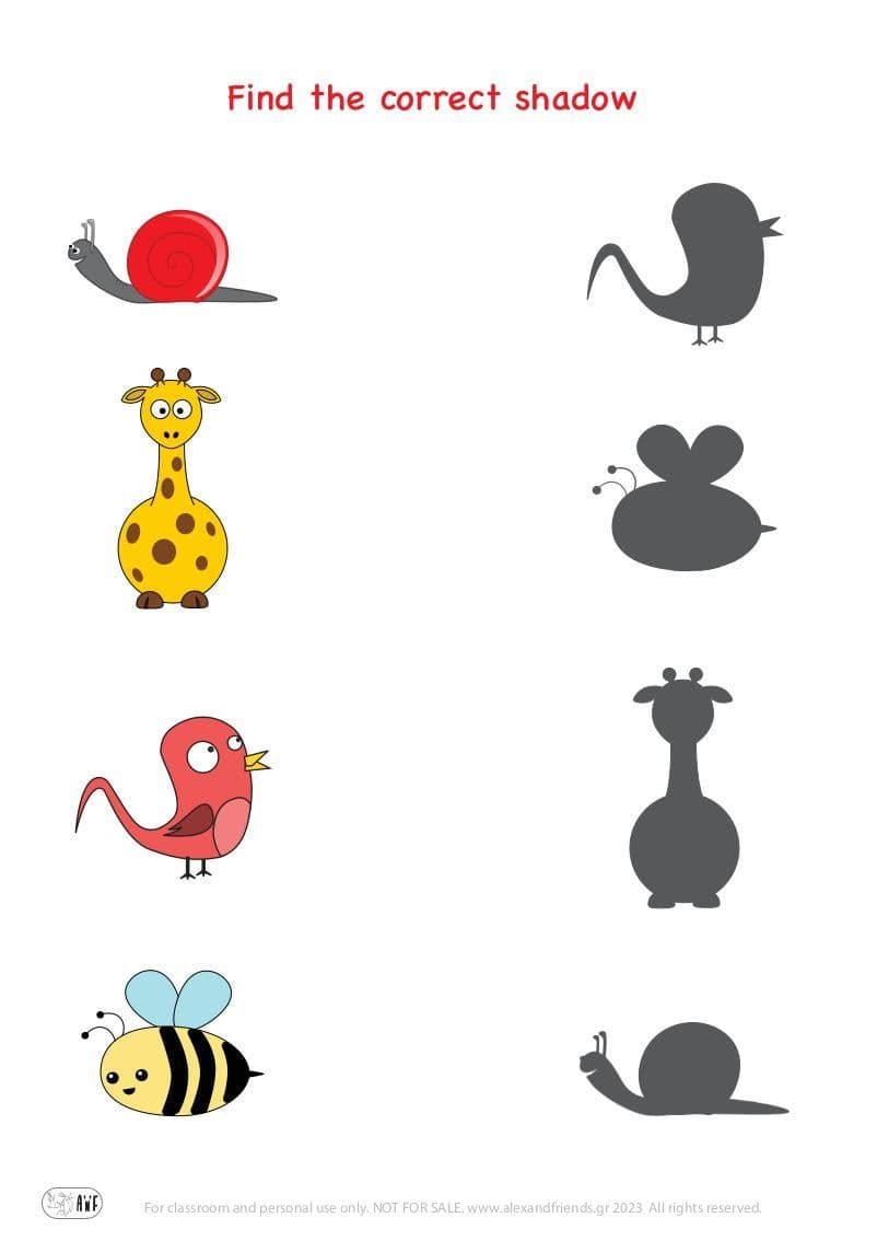 Pairs 14