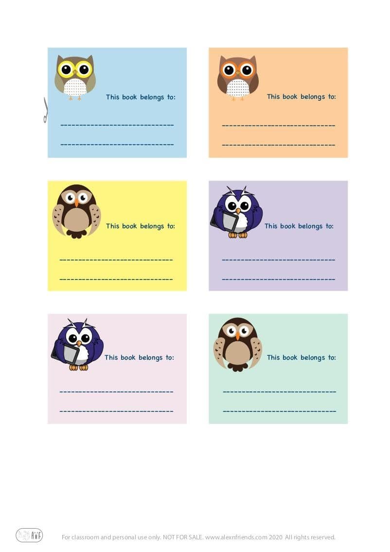 Owls