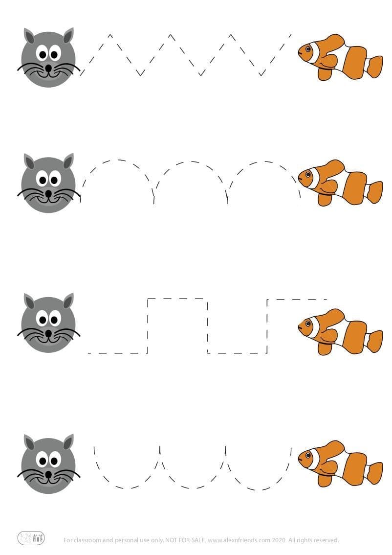 Cat - Fish