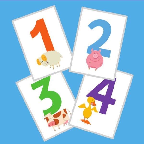Numbers