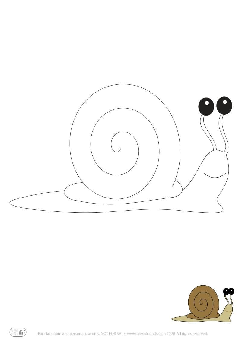 Learning activity for kids. Free printable coloring page of a snail