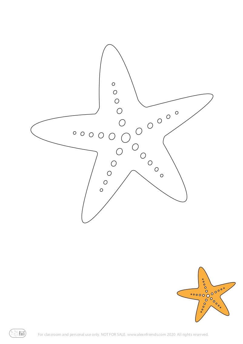 Learning activity for kids. Free printable coloring page of a star fish.