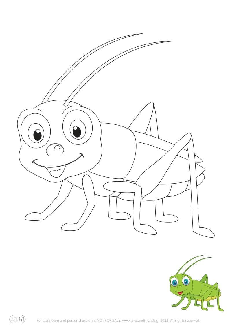 Free Coloring Pages for kids toddlers preschool kindergarten. Grasshopper.