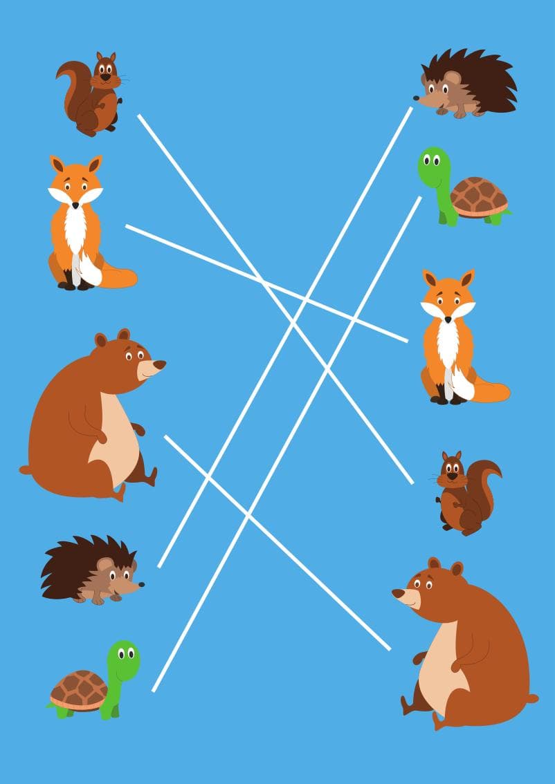 Twins - Matching exercises