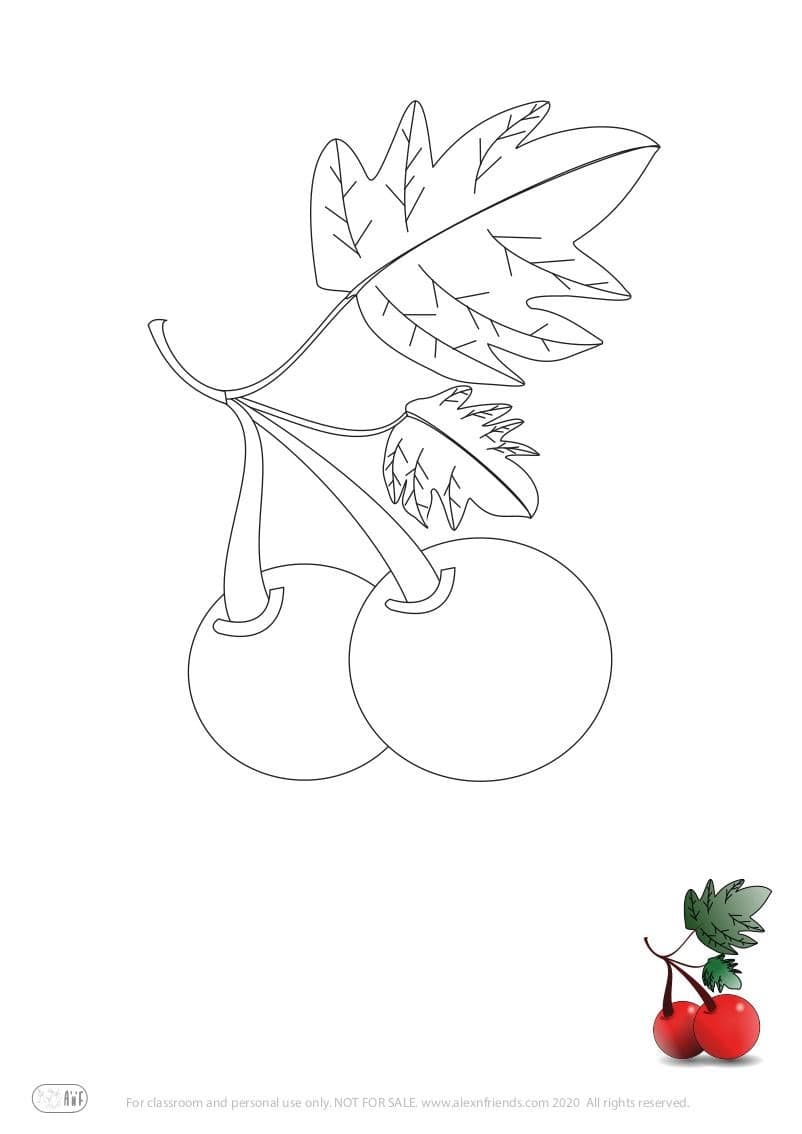 Learning activity for kids. Free printable coloring page of cherries