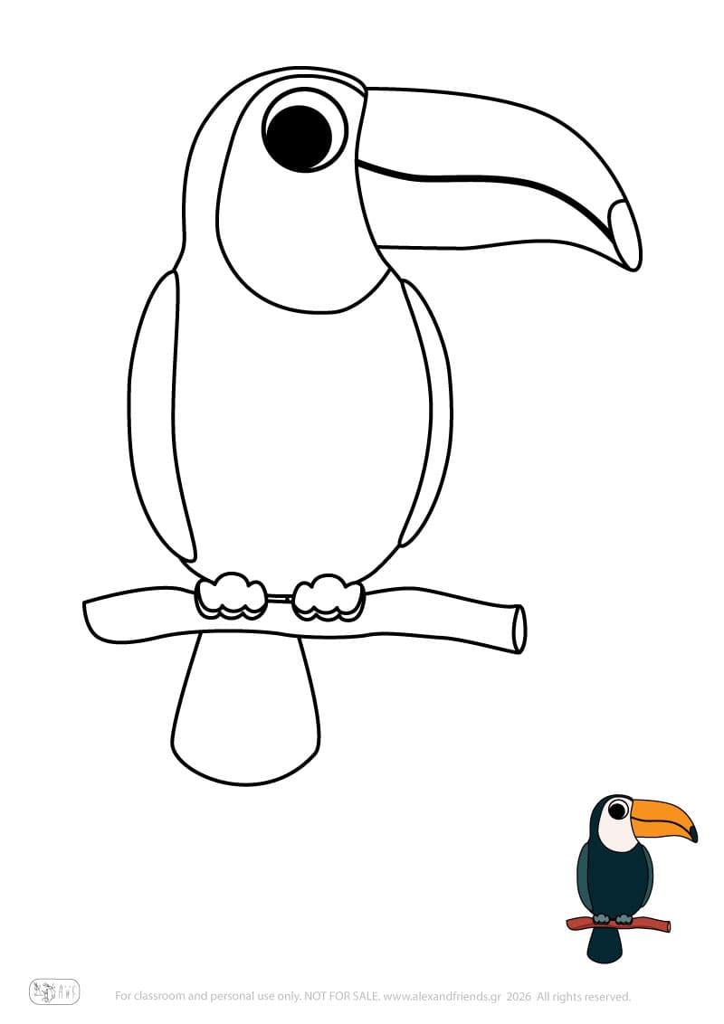 Toucan. Printable animal coloring pages for preschoolers collection – Alex'n'Friends