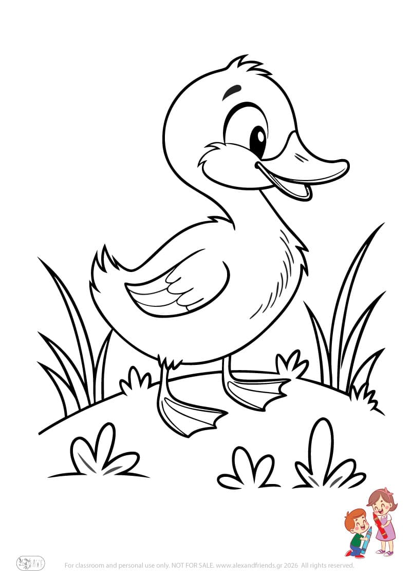 Duck. Animal coloring pages for preschoolers