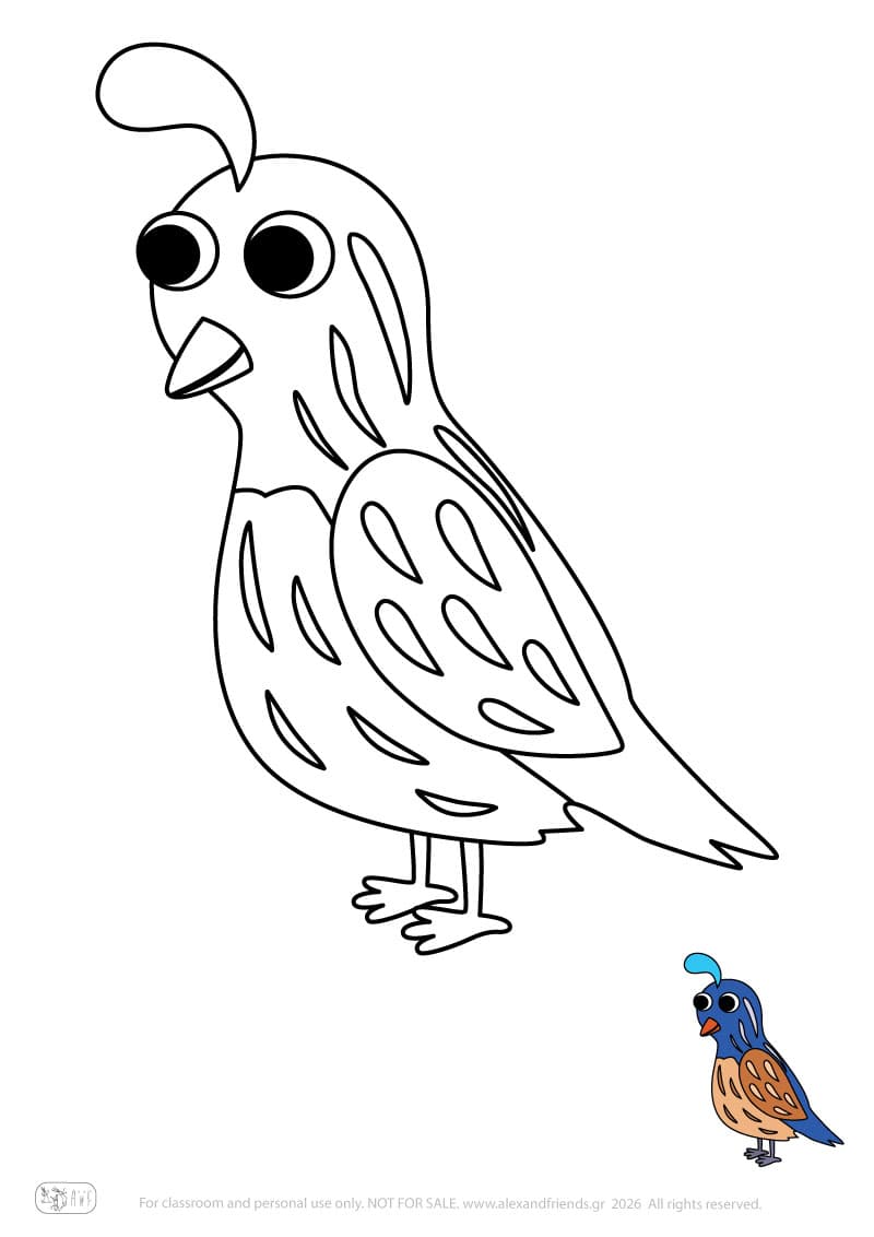 Bird. Printable animal coloring pages for preschoolers collection – Alex'n'Friends