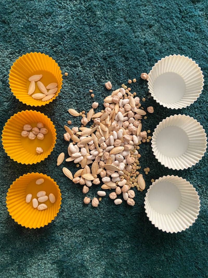 Ice cube tray sorting and pattern-making!