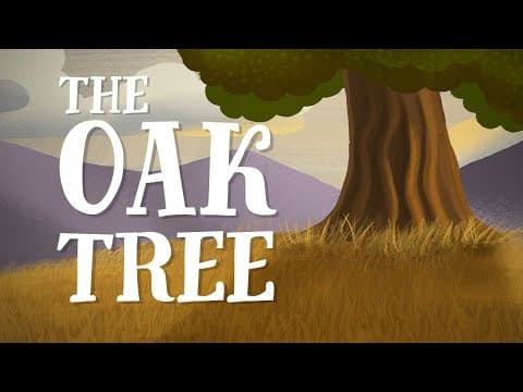 The Oak Tree