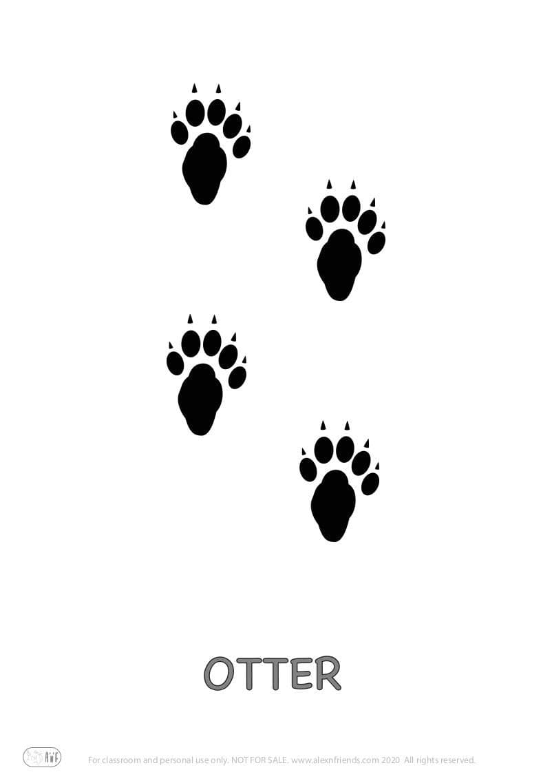 Educational activity for preschoolers with free printables. Playing with animal paw prints. Otter.